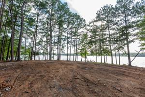 Lot 51, Phase 4, The Willows