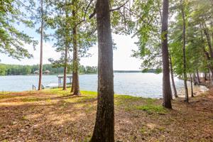 Lot 32, Phase 4, The Willows