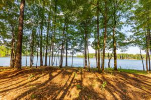 Lot 48, Phase 4, The Willows