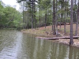 Lot 31 White Oak Landing