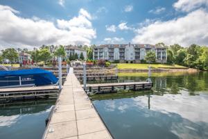 250 Crowne Pointe #206