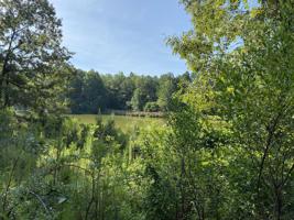 Murphy Dam (Lot 17) Rd