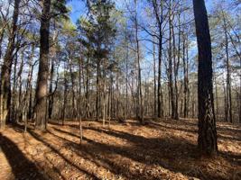 Lots 41/42 Aberdeen Rd