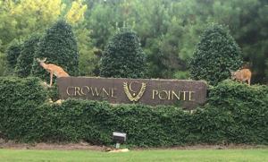 230 CROWNE POINTE RD UNIT 203