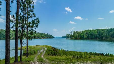 Lot 45 Luannes Way