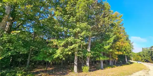Lot #1060 Bittersweet Road