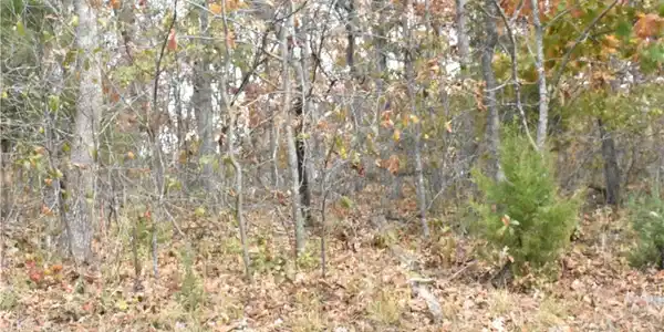 Lot 220 Imperial Point Drive