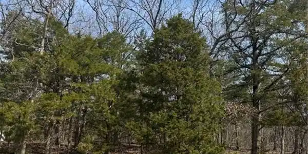 Lot 67 Regency Cove Drive