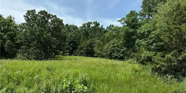 LOT 5R Lick Creek Road