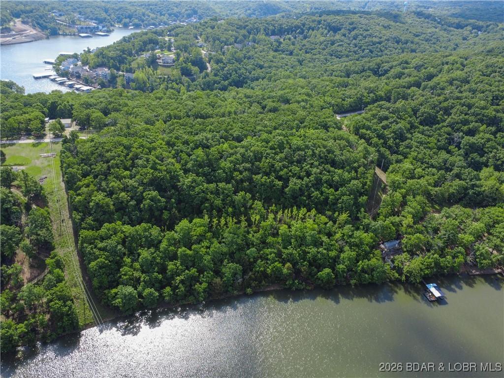 Image 2: Build a private retreat on the entire 9+ acres