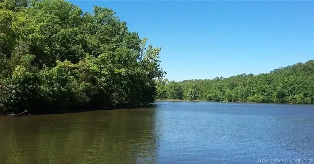 Image 1: Gentle shoreline