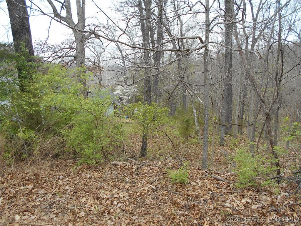 Image 2: Lot slopes down, perfect for walk out lower level
