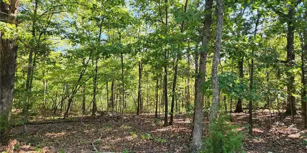 Lot 1063 Bittersweet Road