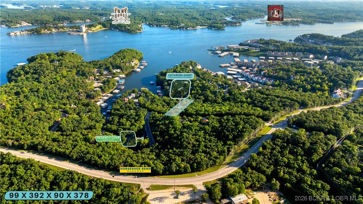 Image 1: Welcome to Regency Cove at Lake of the Ozarks!