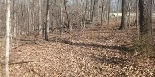 TBD LOT 47 & 48 Bloomington Drive