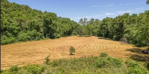 Image 4: Open pasture