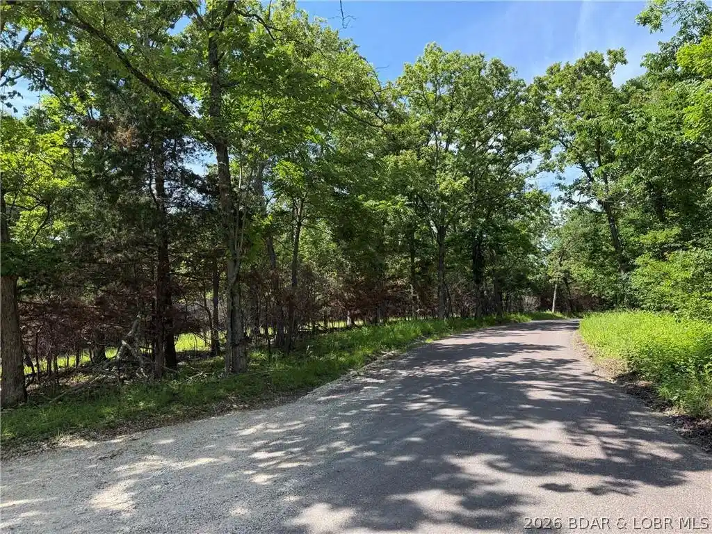 Image 1: 9 Mostly Level wooded Acres