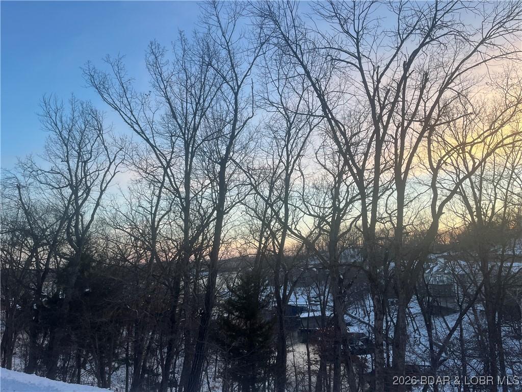Image 4: Lot lake view