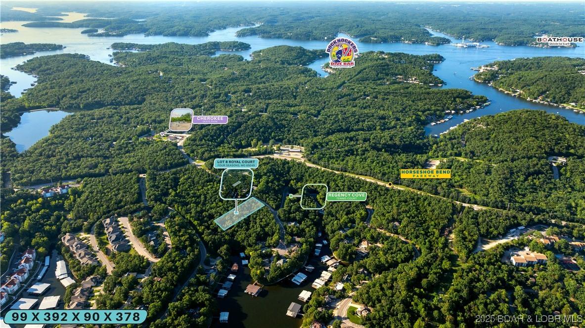 Image 1: Welcome to Regency Cove at Lake of the Ozarks!