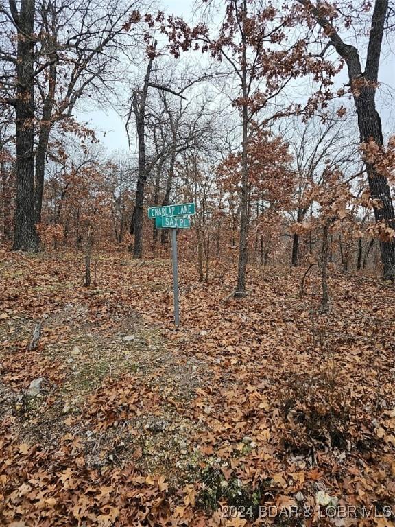 Image 3: Lot is across from the corner of Sax and Charlap
