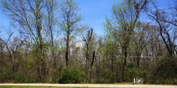 Lot 698 Horseshoe Bend Parkway
