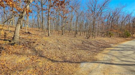 Lot #450 Grand View Drive