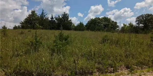 Niagra Drive