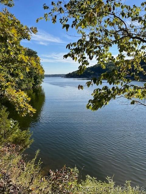 Image 3: South facing lakefront