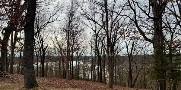 Lots 5-10 Ozark View Ln
