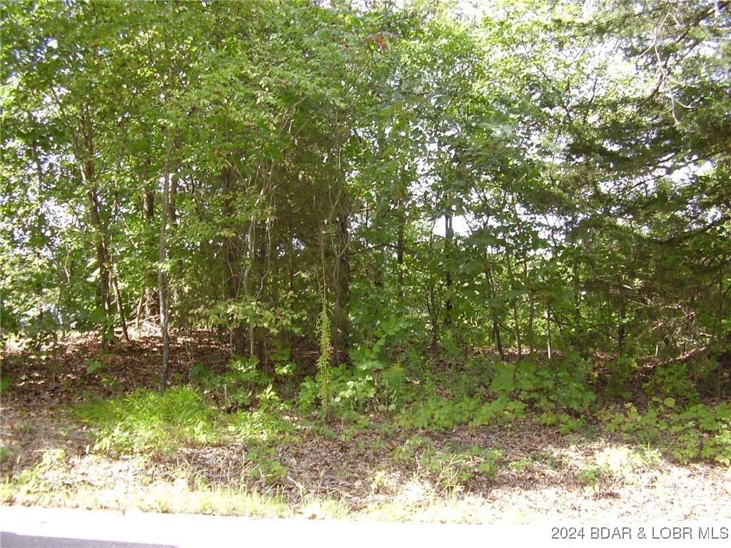 Image 4: .55 Building Lot