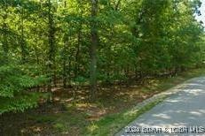 Image 3: Paved Roads