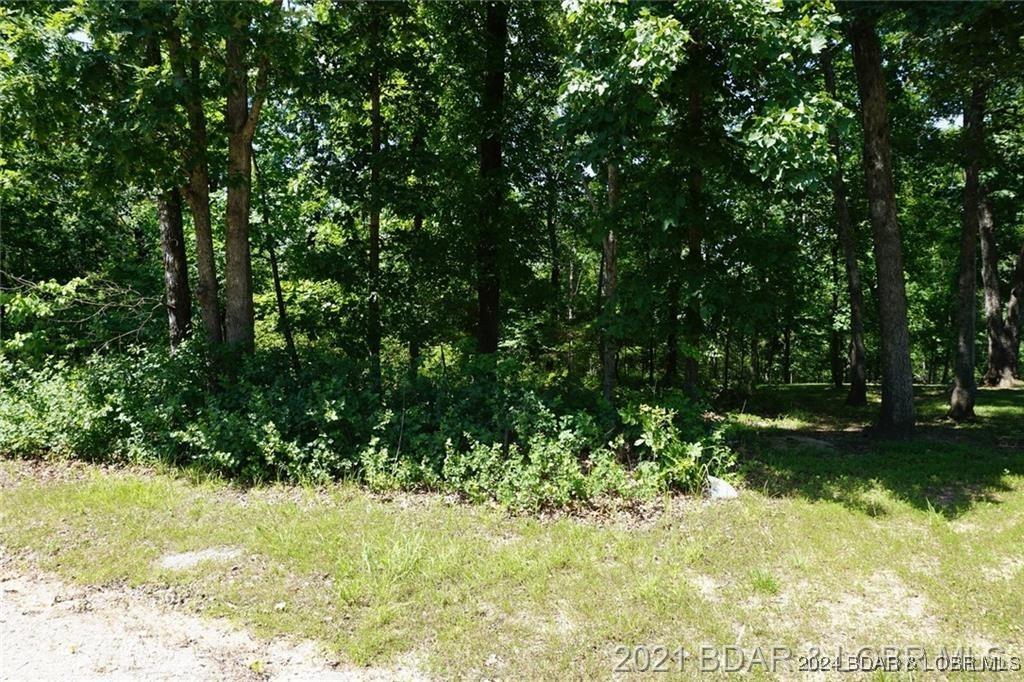 Image 3: Wooded Building Lot