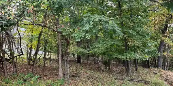 Lot 1019 Camelot Drive