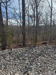 Lot 479 Parker Pt.