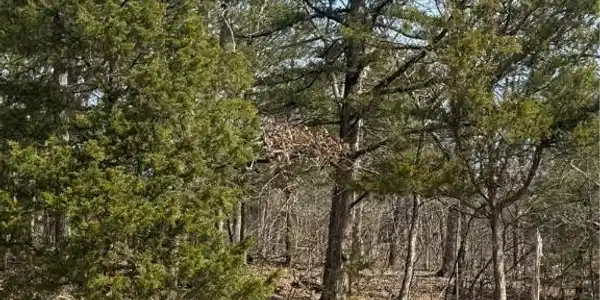 Lot 67 Regency Cove Drive