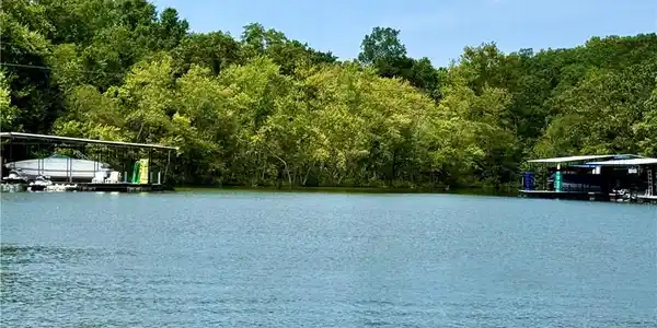 Image 4: Shoreline at back of cove