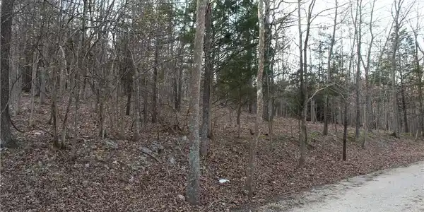 Lot 39 Grey Wolf Road