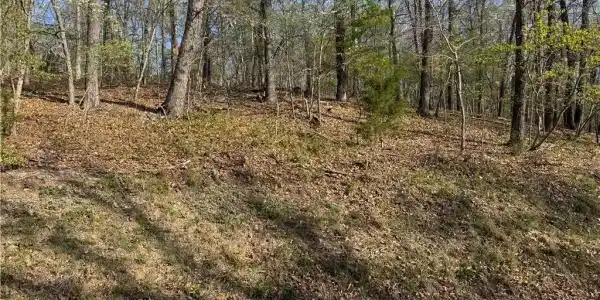 LOT 166 Albany Drive