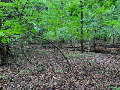 Lot 736 Linn Creek Road