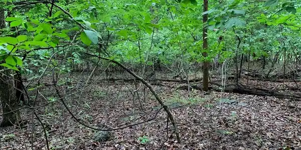 Lot 736 Linn Creek Road