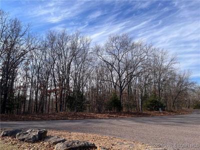 Lots 2 & 3 South Buck Creek Road