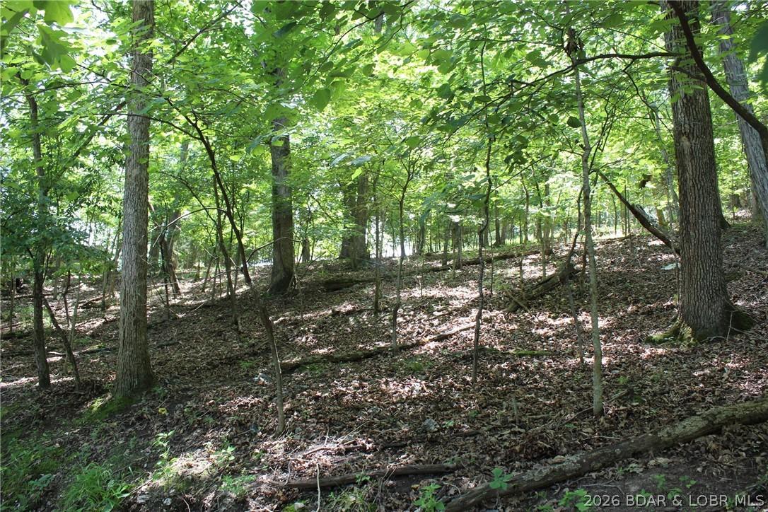 Image 1: Right corner of the property looking into