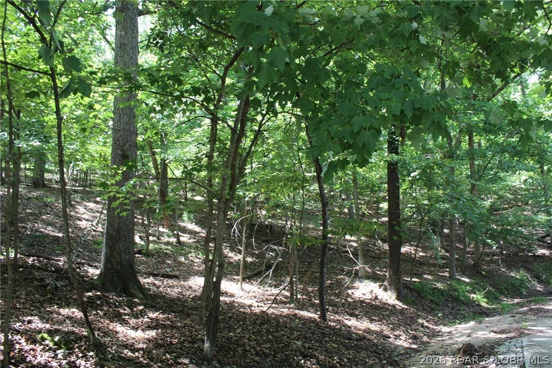 Image 4: Left corner looking to the right