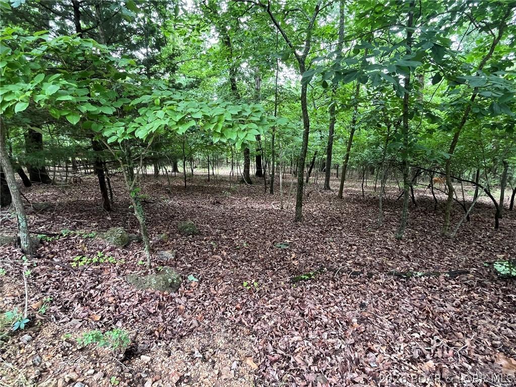 Image 3: GENTLE/FLAT LOT