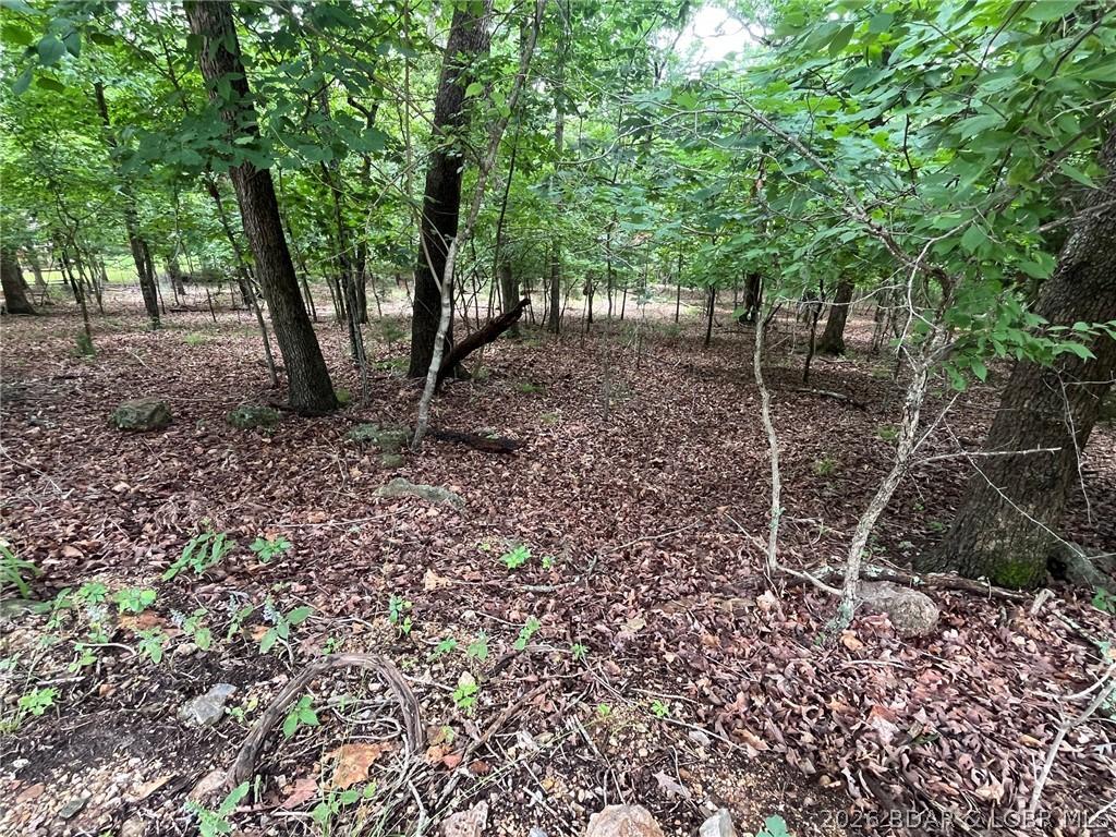 Image 4: GENTLE/FLAT LOT