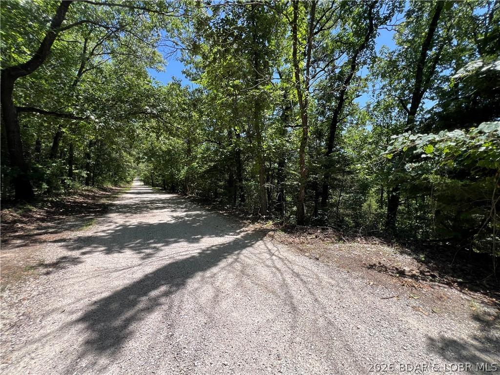 Image 1: Paradise Lane