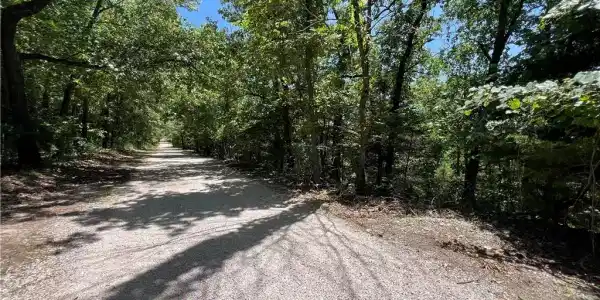 TBD Paradise Lane