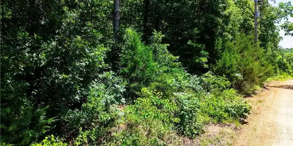 Lot 106 Apache Lane