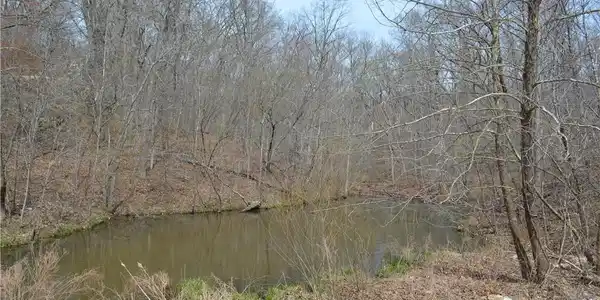 Tract 514 Bobcat Road