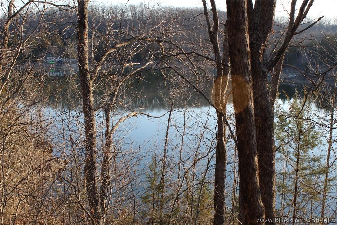 Image 4: View from the road